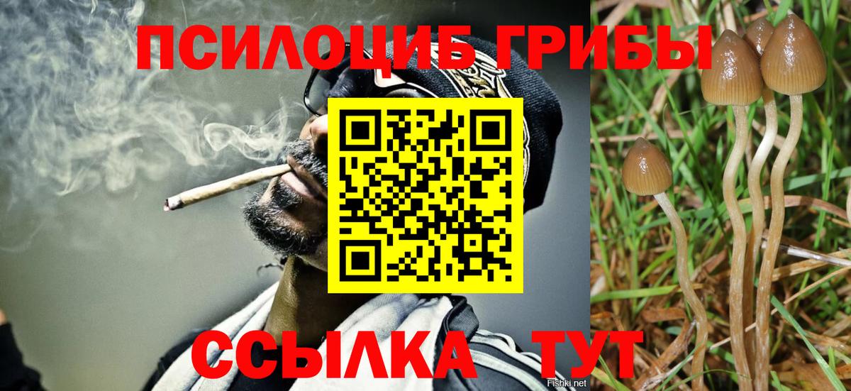 Галлюциногенные грибы MAGIC MUSHROOMS Черкесск
