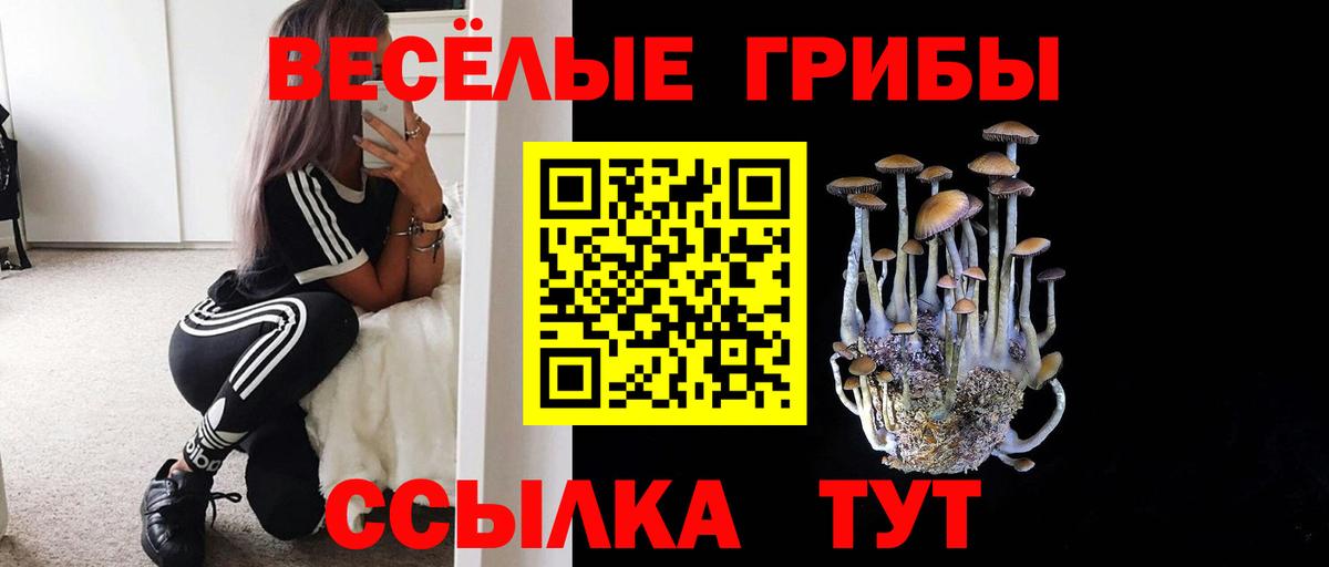 Черкесск  Галлюциногенные грибы ЛСД  Псилоцибиновые грибы MAGIC MUSHROOMS  Вход с VPN 